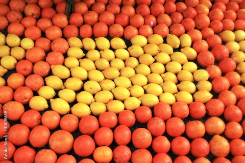 oranges et citrons photo