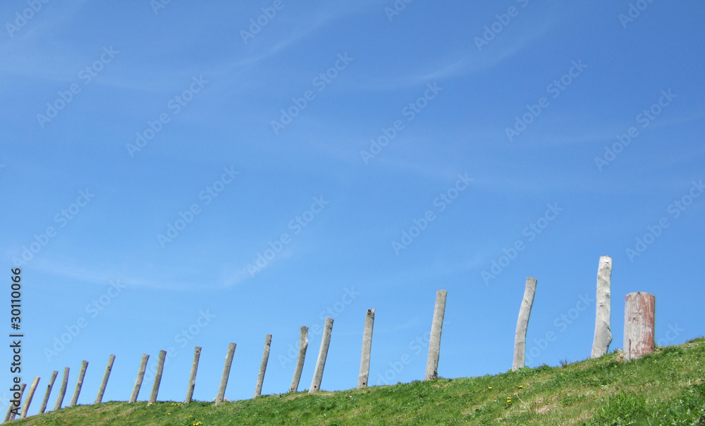 Fototapeta premium 青空の向かって