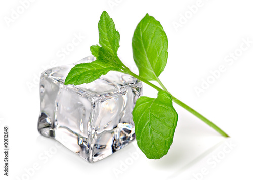 Ice cube with fresh mint
