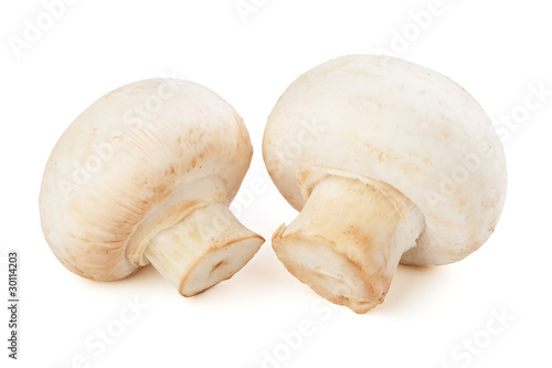 two champignons isolated on white background