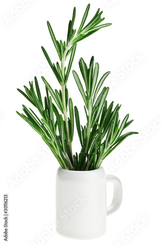 Fresh green rosemary bunch in small ceramic noggin