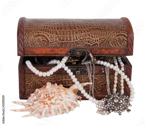 Treasure chest with sea shell