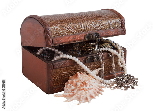 Treasure chest with sea shell