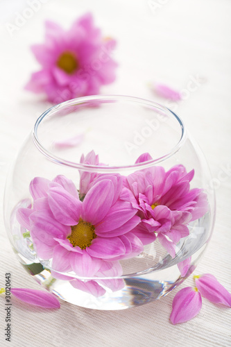 pink flowers in glass vase