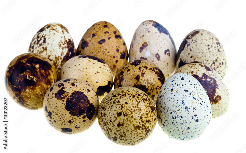 Obraz premium Quail eggs