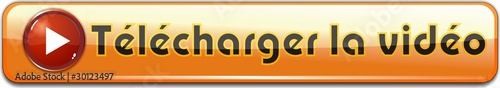 bouton télécharger la vidéo