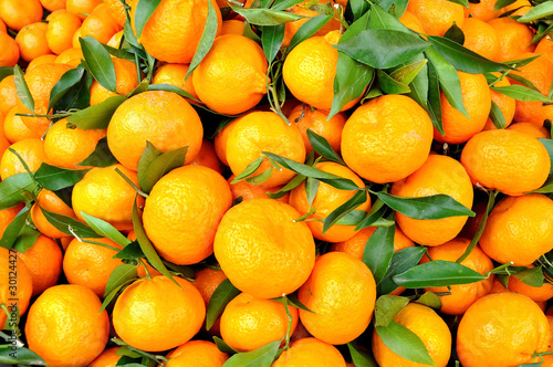 Mandarini