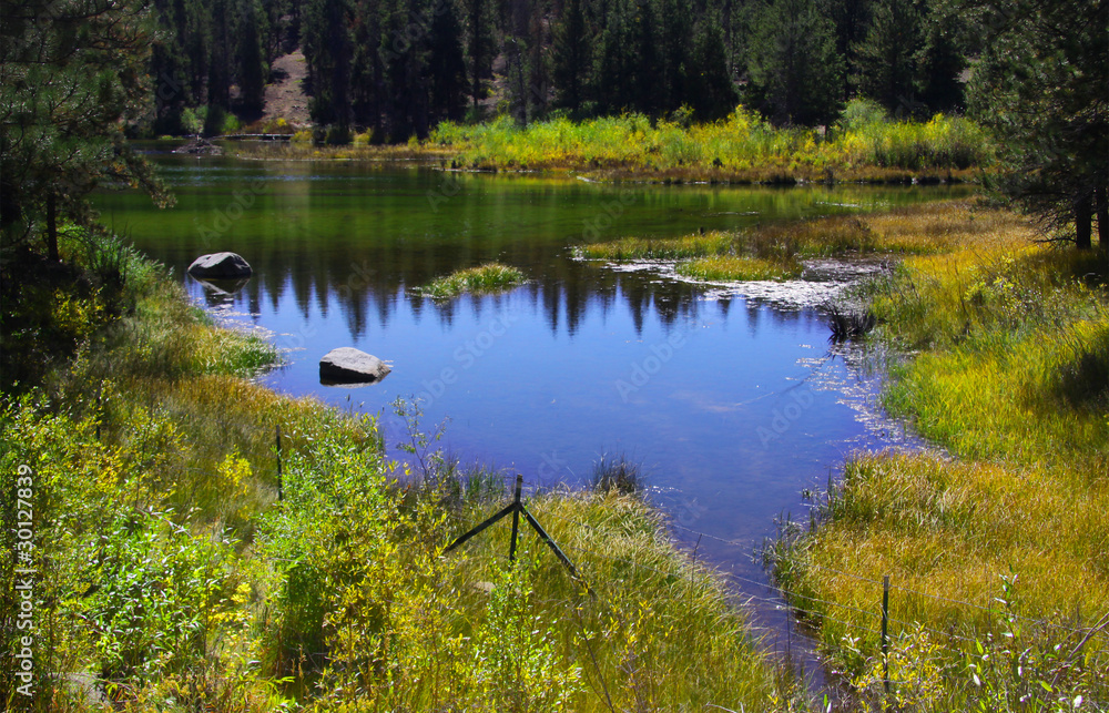 Scenic pond in yellowstone national park