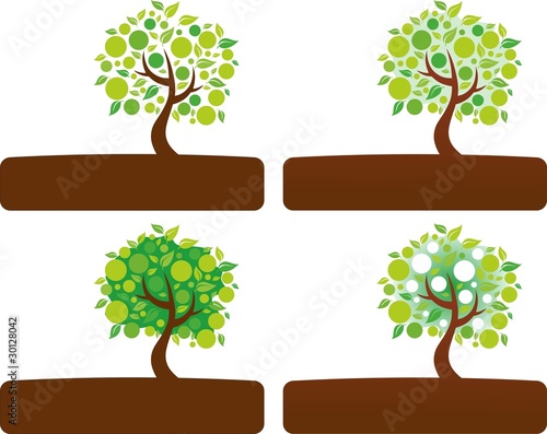 Baum 1