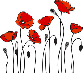 Acrylglasbilder Rot, Schwarz, Weiß red poppies  © ColorValley