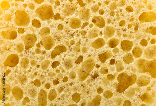 sponge texture