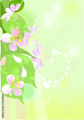 Spring background with blooming flowers