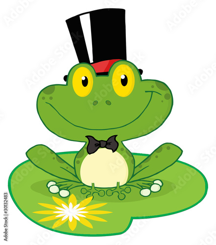 Groom Frog Cartoon Character On A Leaf