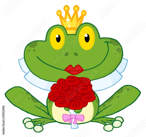 Bride Frog Cartoon Character