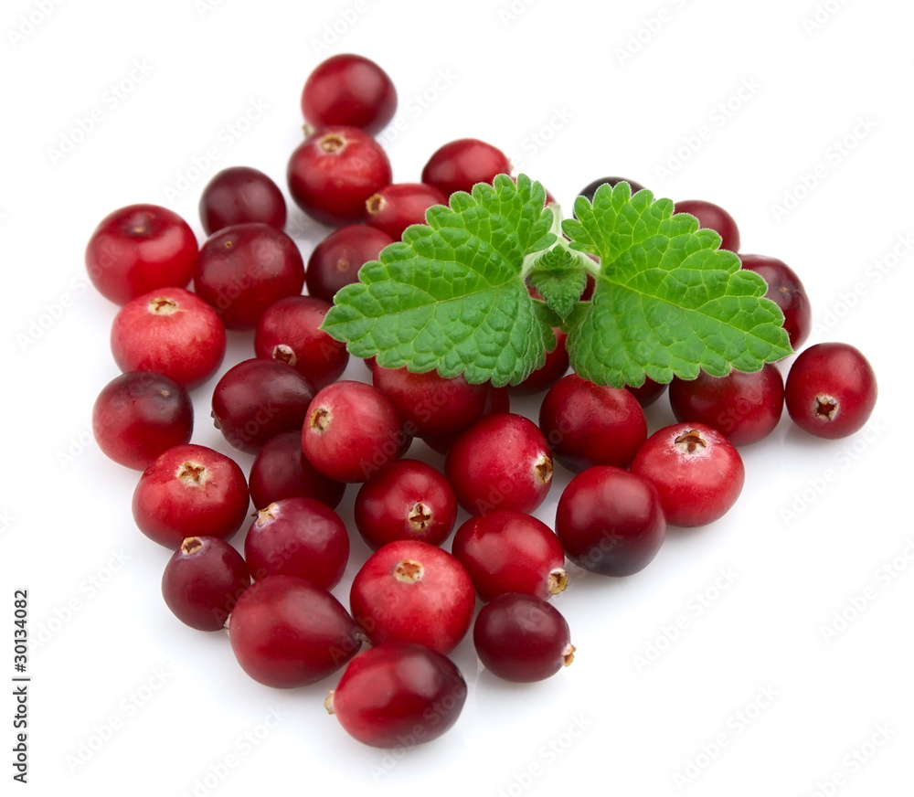 Ripe cranberry with a mint Ripe cranberry with a mint