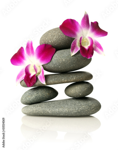 Orchids on stacked stones