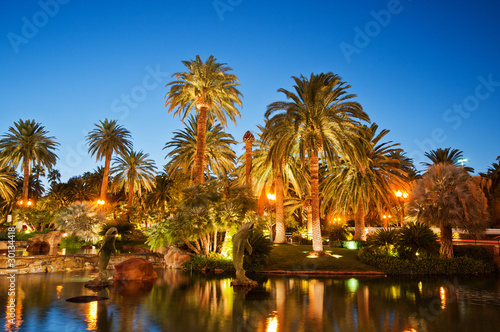 Palm trees during sunset © Elnur