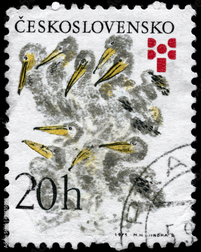 CZECHOSLOVAKIA - CIRCA 1975 Pelicans