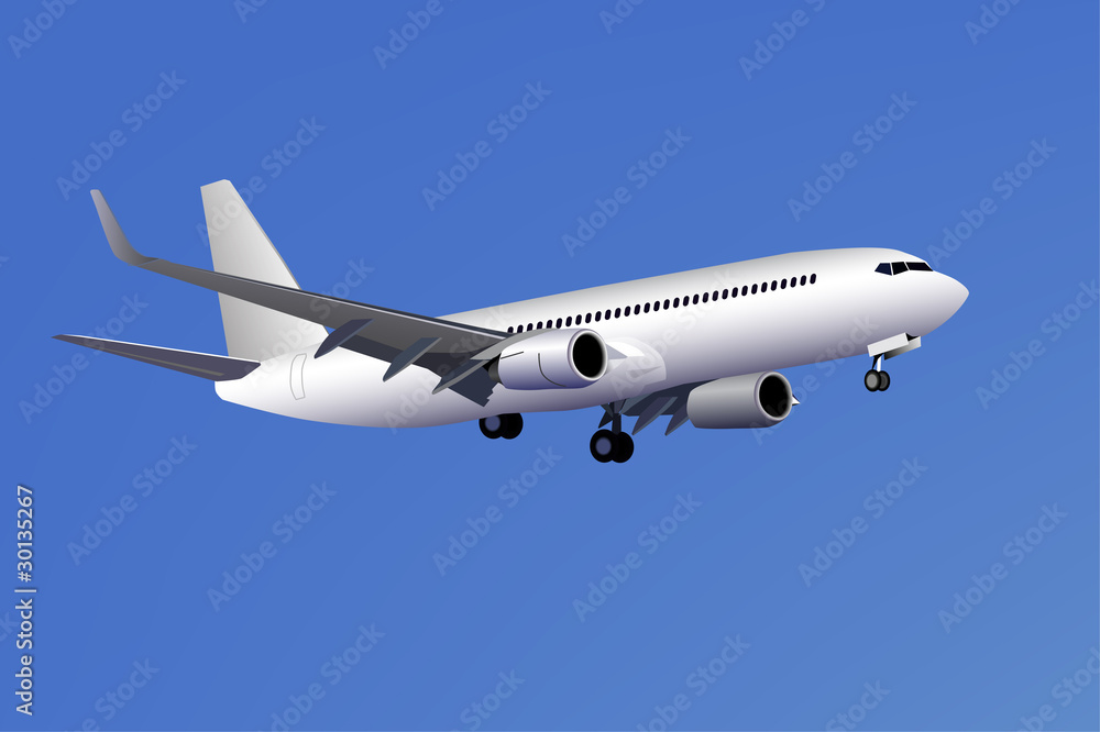 Obraz premium Airplane in the sky