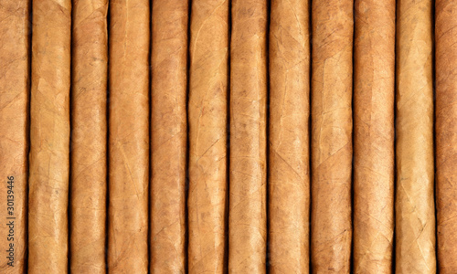 Row of cuban cigars