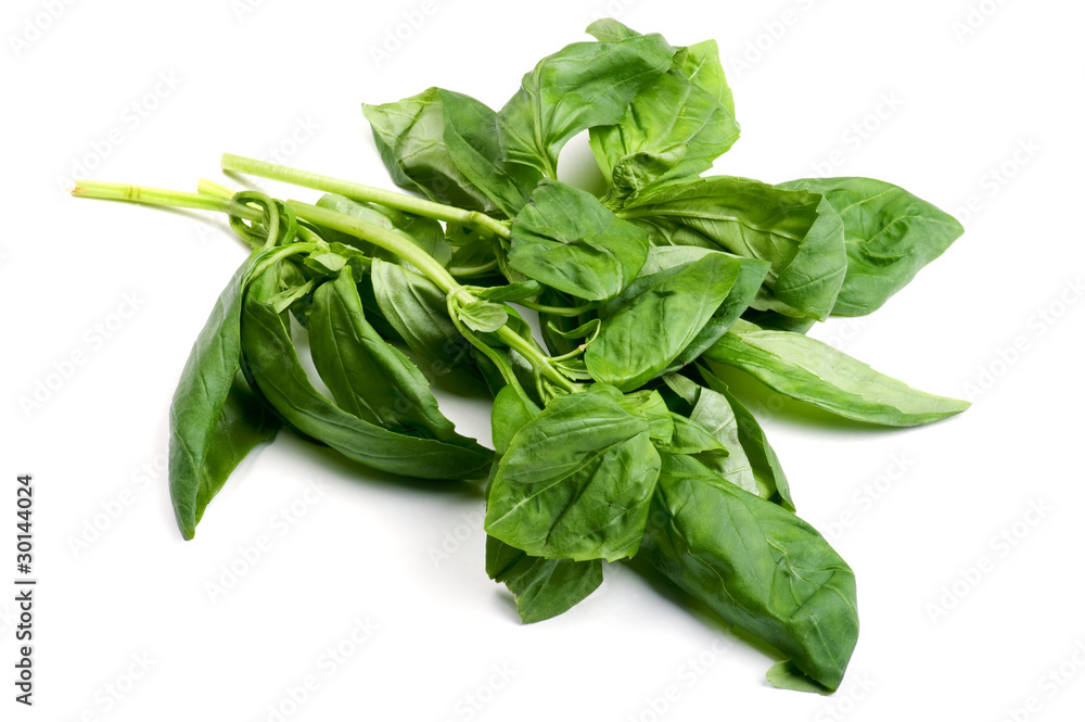 basil