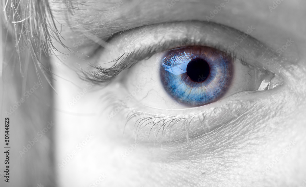 Fototapeta premium Mans blue eye