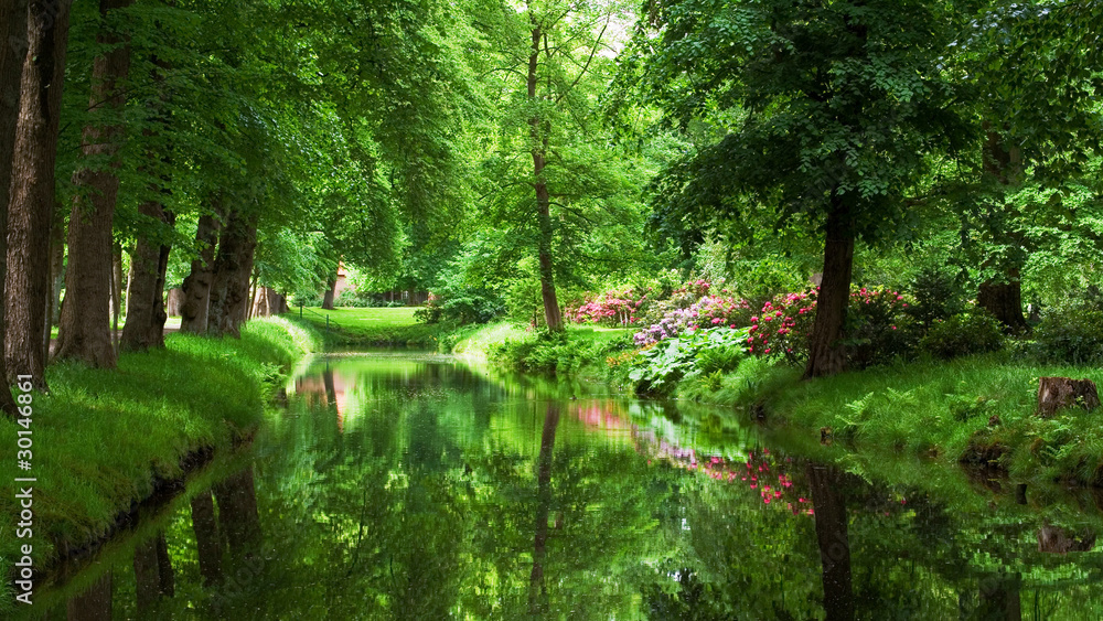 Fototapeta premium Grüne Oase