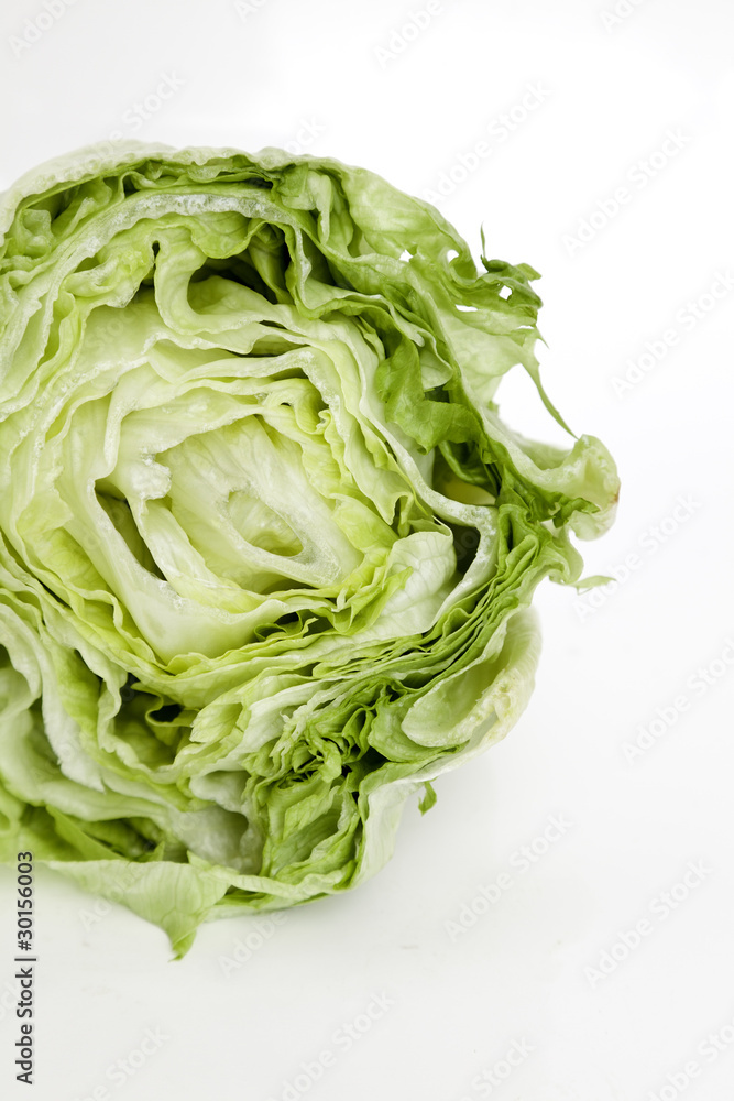 lechuga iceberg lechuga iceberg