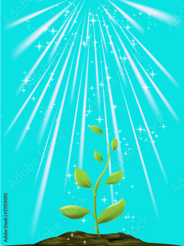 Green plant