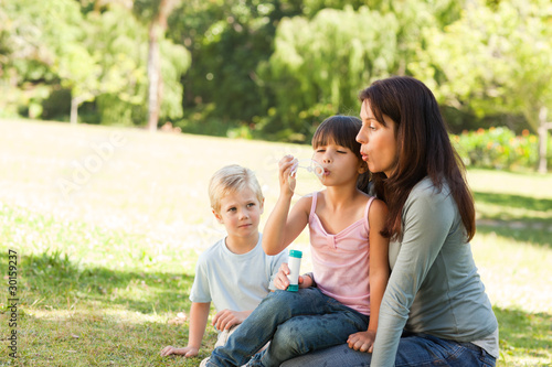 Family blowing bubbles in the park