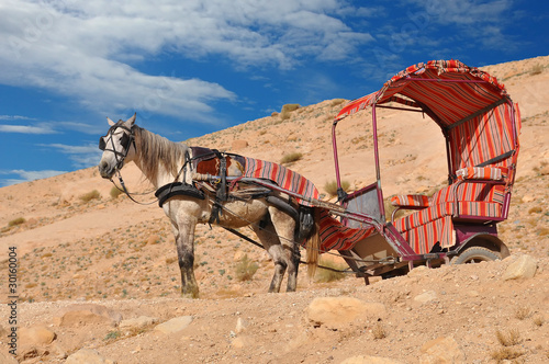 Horse used for transportation, Petra Jordan