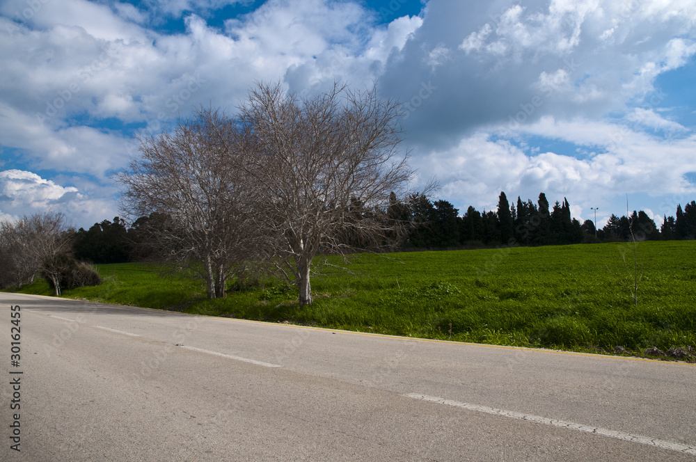 Fototapeta premium road