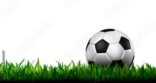 football in green grass on white background