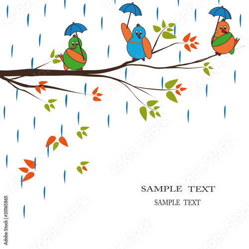 Cartoon birds in rain