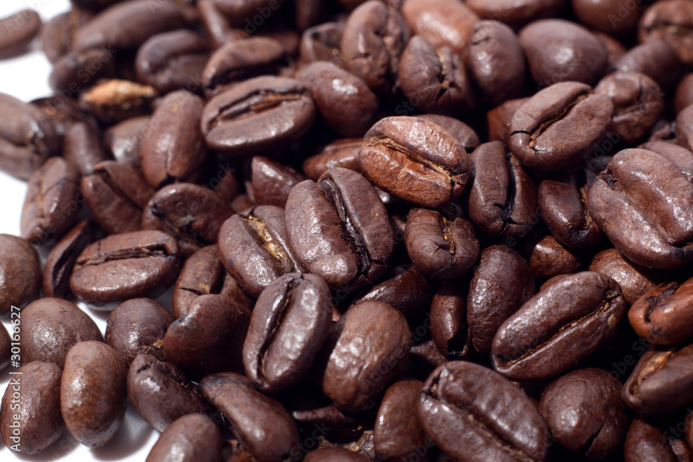 Fototapeta premium Kawa