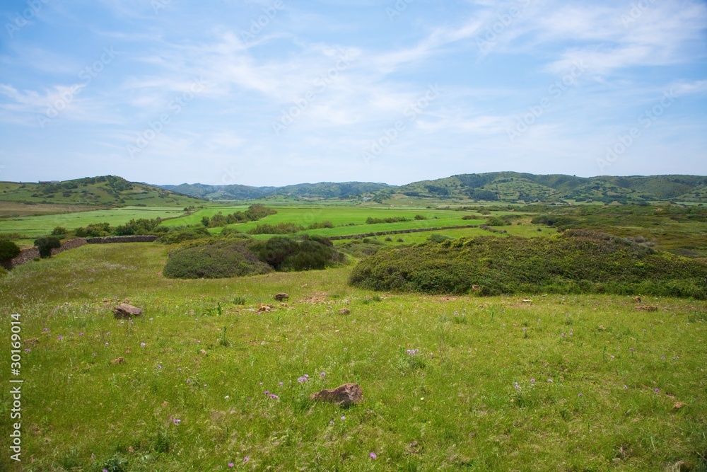 green fields at Menorca