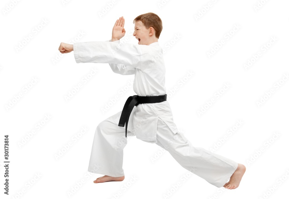 Martial arts boy Martial arts boy