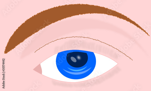Auge