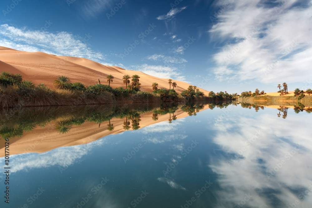 Naklejka premium oasi desert