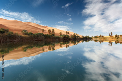 oasi desert photo