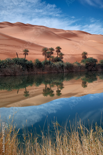 oasi desert