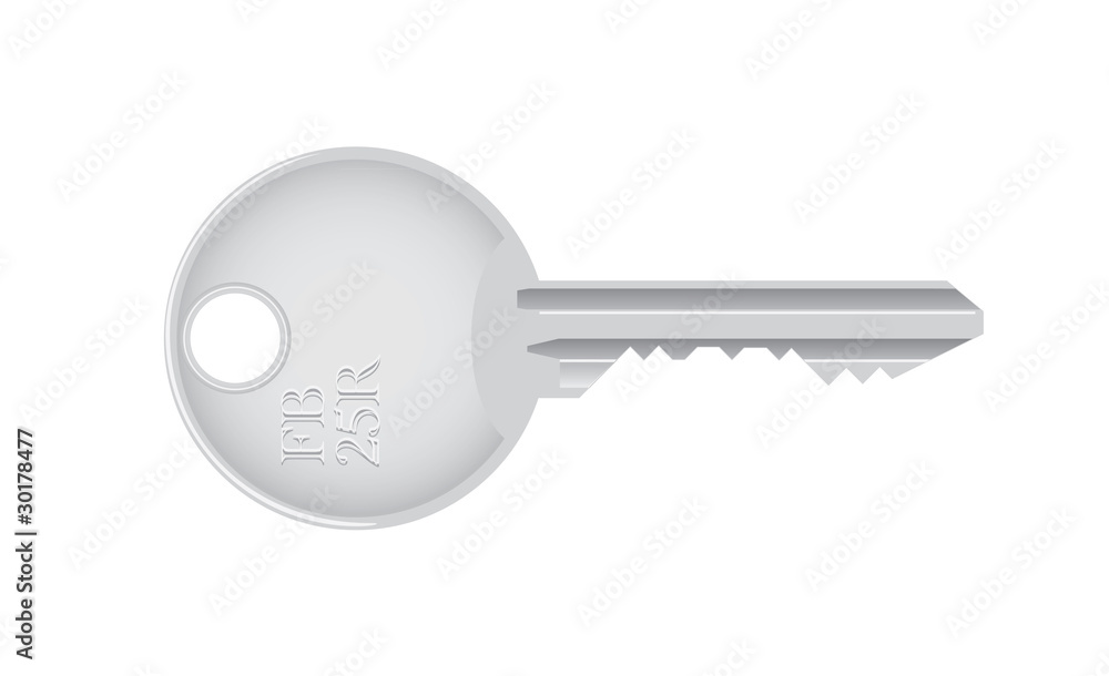 isolated metallic key - detailed realistic illustration isolated metallic key - detailed realistic illustration