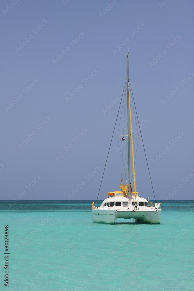 catamaran in saona beach