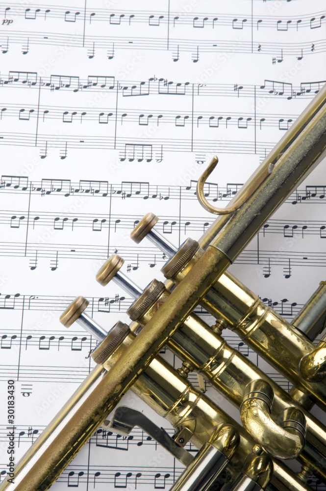 Obraz premium Trumpet and notes