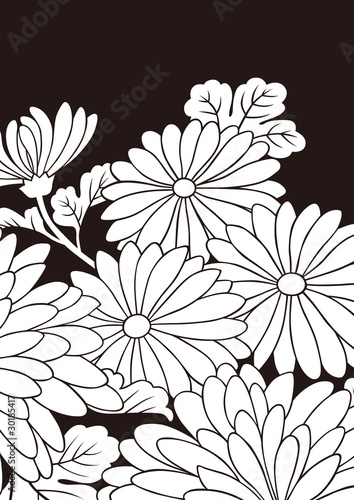 Wallpaper Mural グラフィックパターン Torontodigital.ca