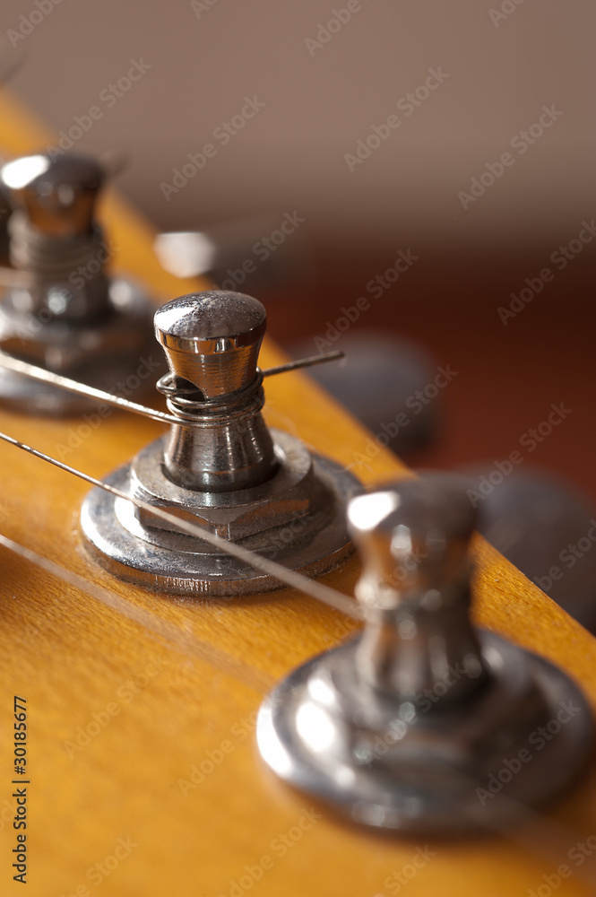 Electric Guitar Details Electric Guitar Details