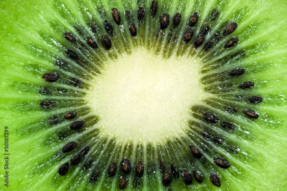 kiwi