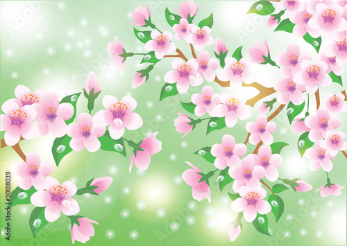 Spring card with Sakura flowers. vector illustration