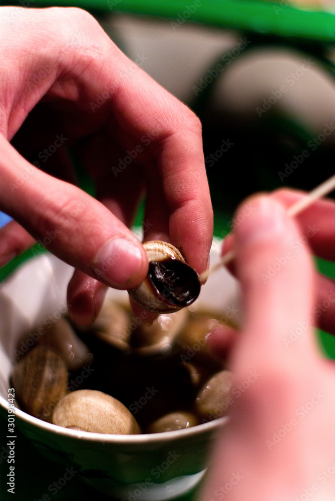 snails snails