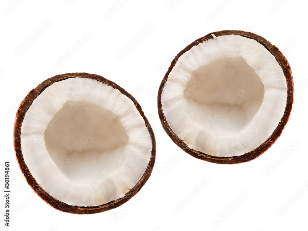 coconuts isolated on white background coconuts isolated on white background